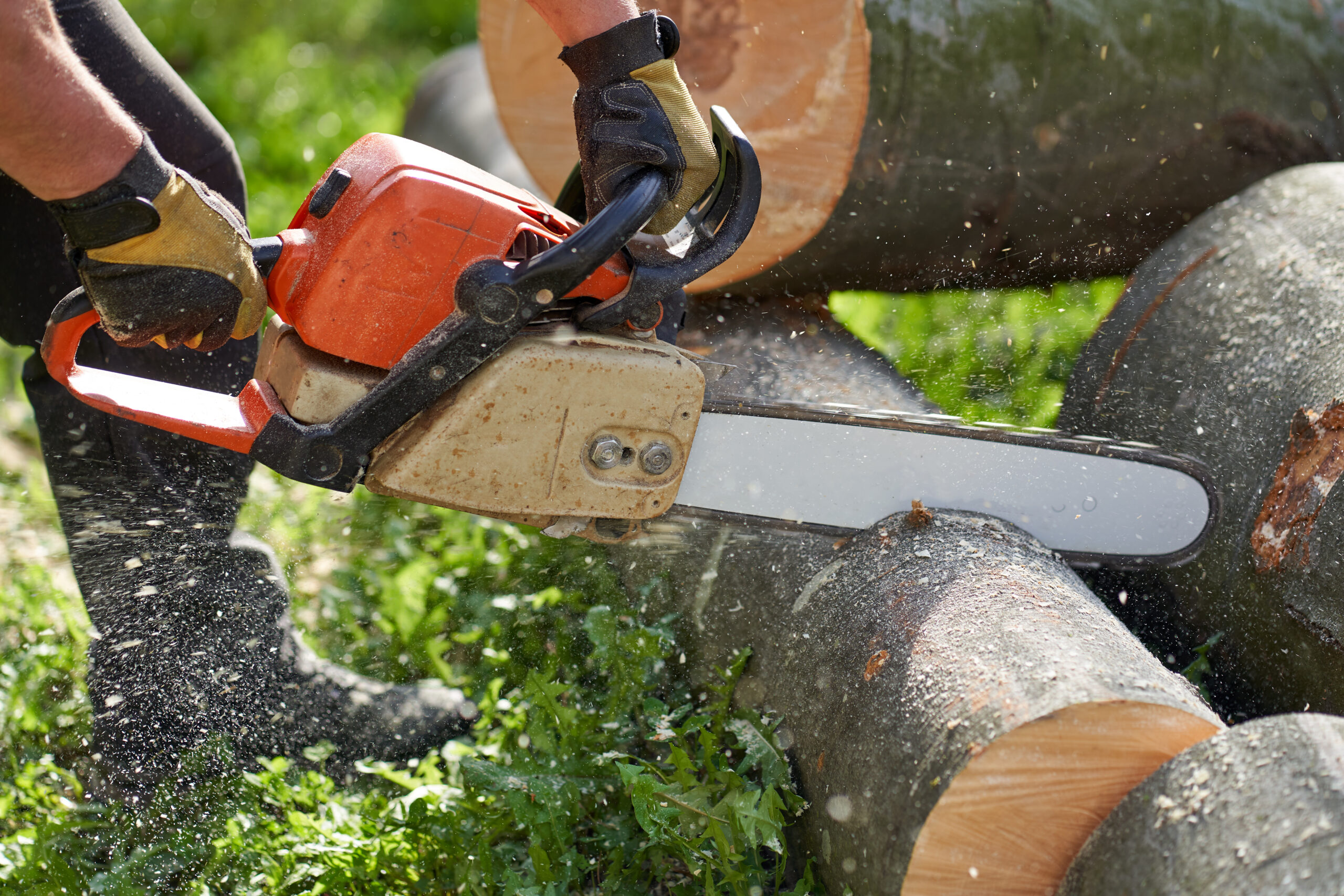 woodworker using chainsaw cutting logs in rural se 2026 03 26 00 22 50 utc
